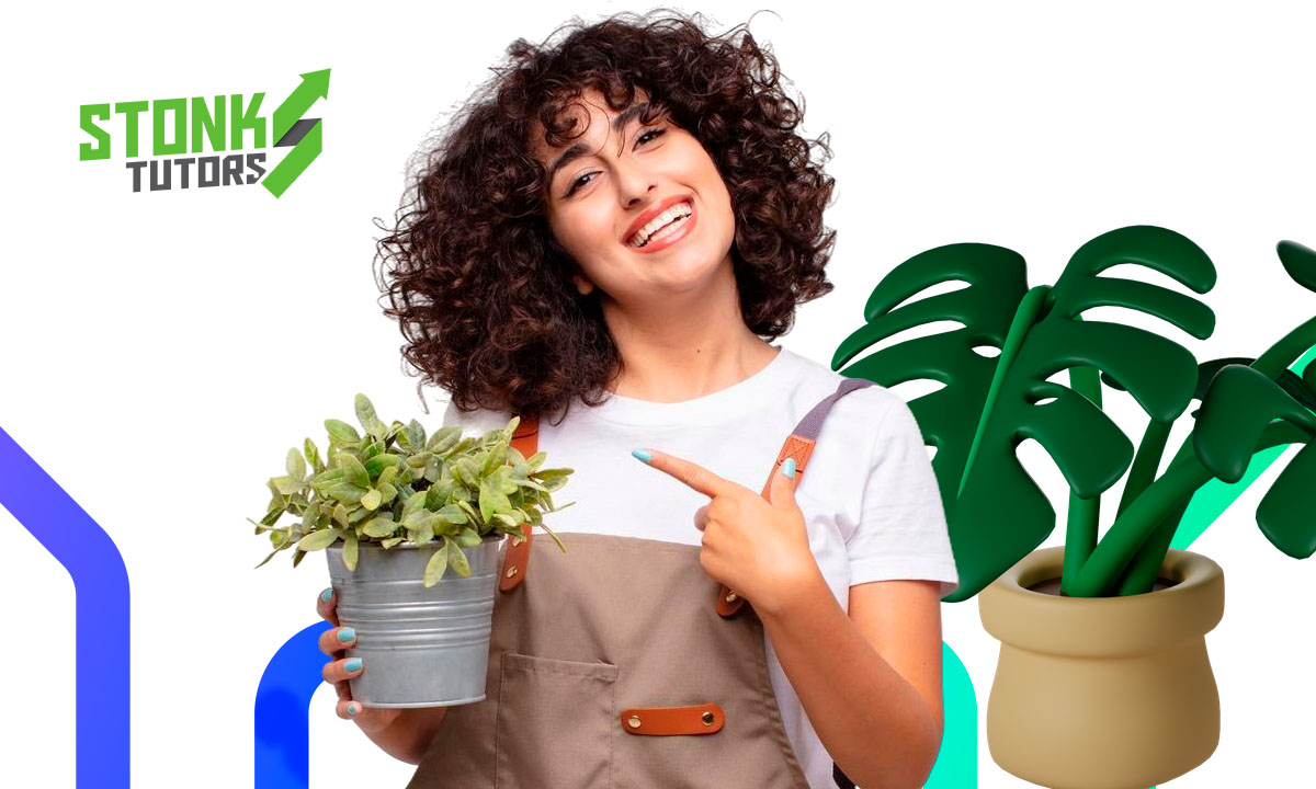 Identificar plantas con la cámara del celular