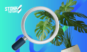 Reconocer plantas con una foto