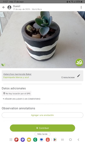 Mejor aplicación para reconocer plantas con una foto gratis 7 Reconocer plantas con una foto