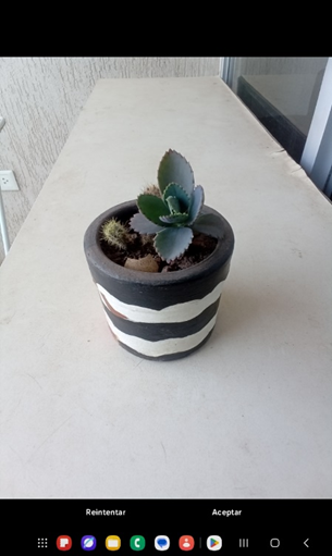 Mejor aplicación para reconocer plantas con una foto gratis 4 Reconocer plantas con una foto