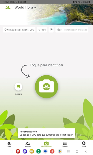 Mejor aplicación para reconocer plantas con una foto gratis 3 Reconocer plantas con una foto