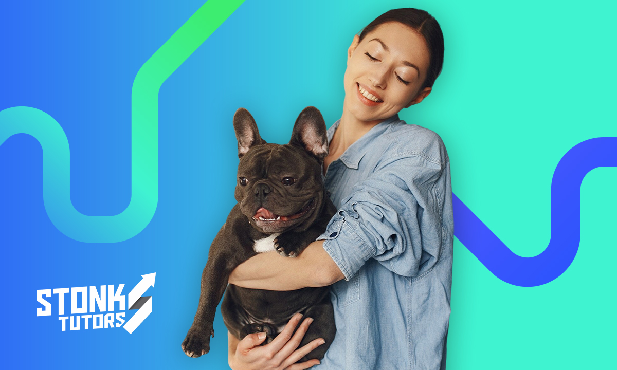 Curso para pasear perros: gana más de $8,000 MXN extra al mes 13 Pasear perros