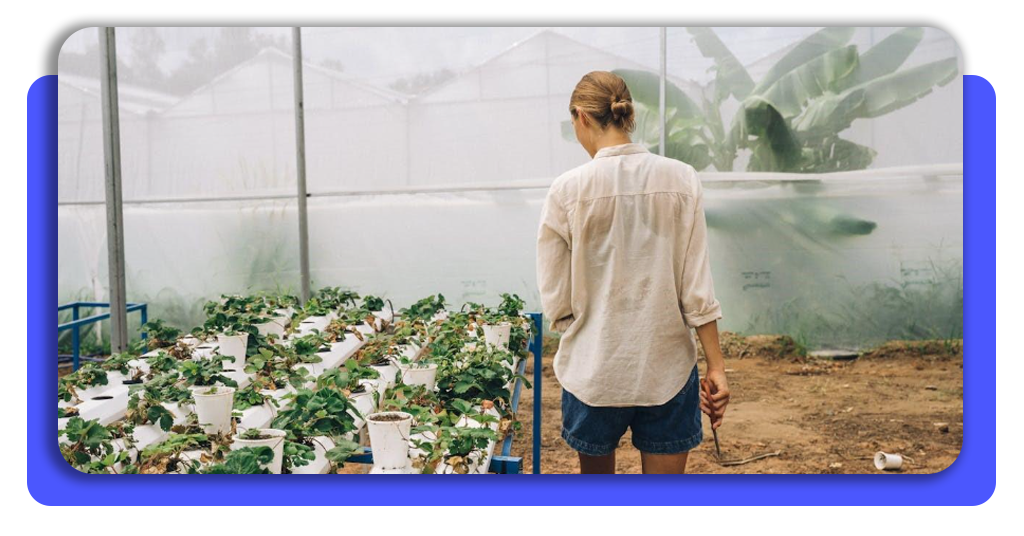 Curso de técnico en cultivos vegetales gratis y orientado al empleo 2 Técnico en cultivos vegetales