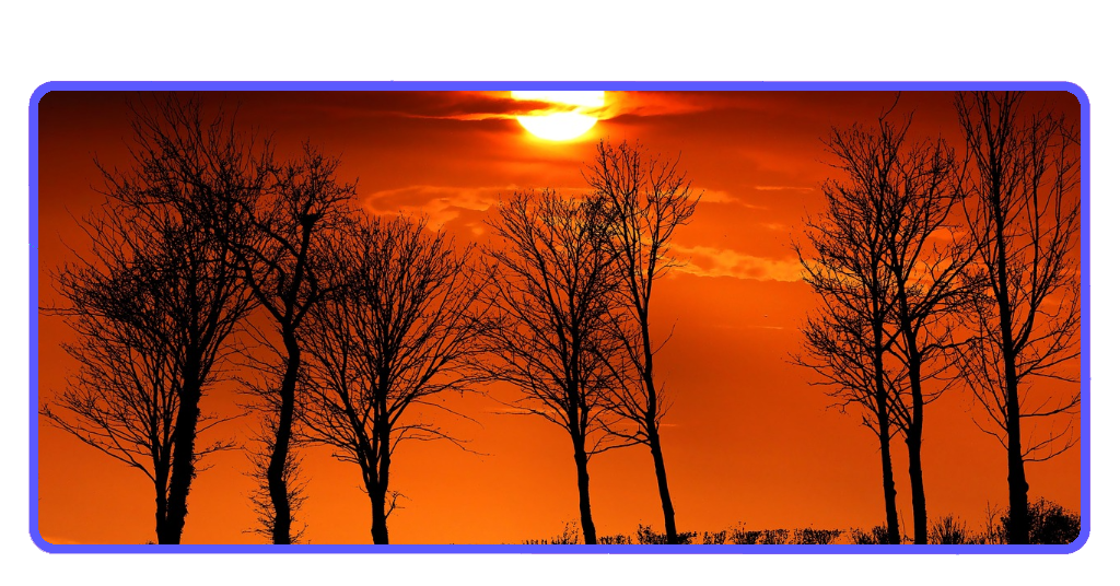 LIHEAP en EE.UU.: mira si calificas para ayuda para pagar la luz | IMG 2911 01