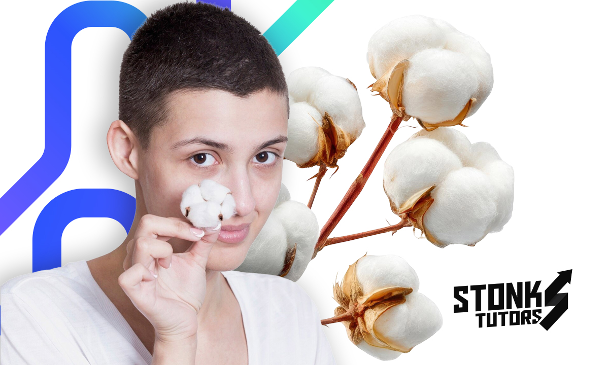 Curso técnico en desmote de algodón