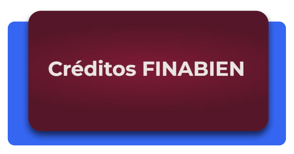 Programa Apoyarte: crédito para artesanas indígenas y afromexicanas  | IMG 3241 01